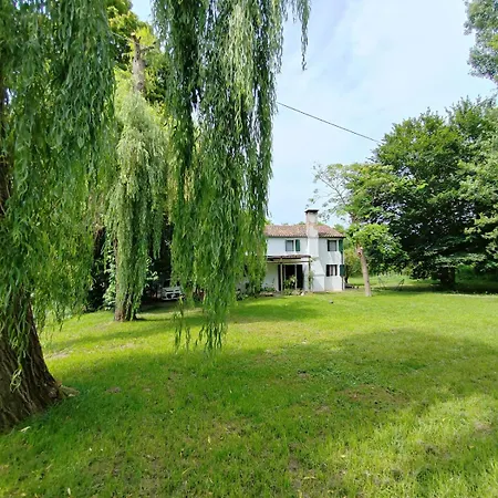 Molina House Cavarzere