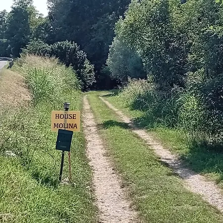 Molina House *