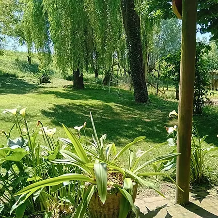 Molina House